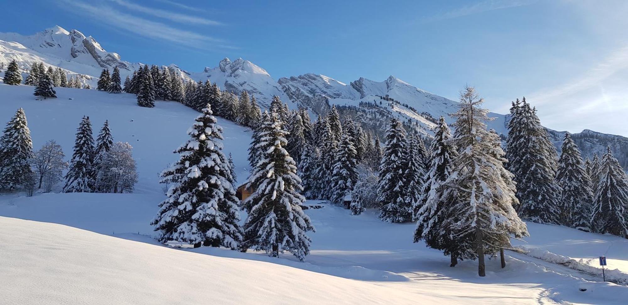 Cosy Face Aux Aravis *