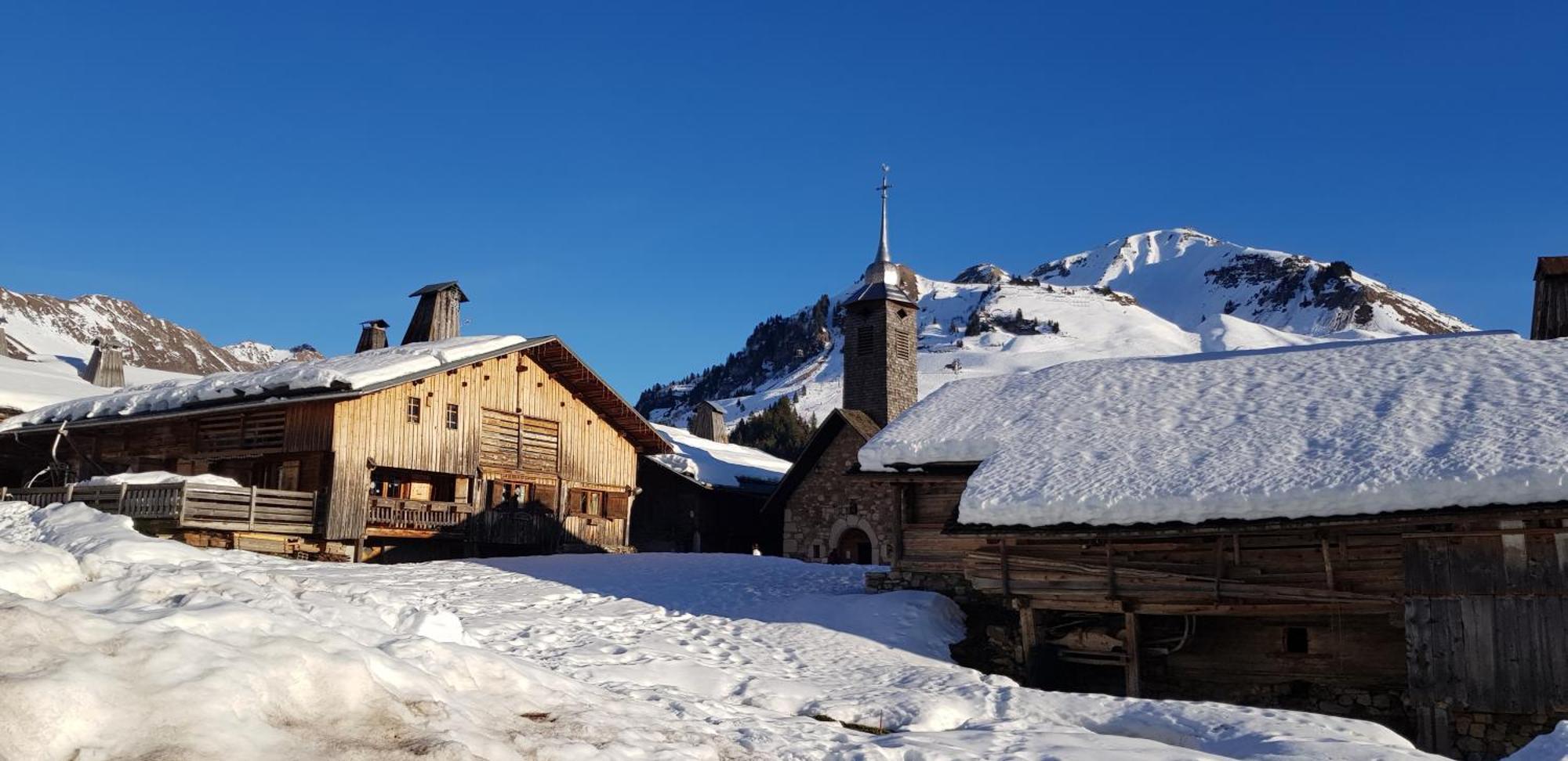 Cosy Face Aux Aravis
