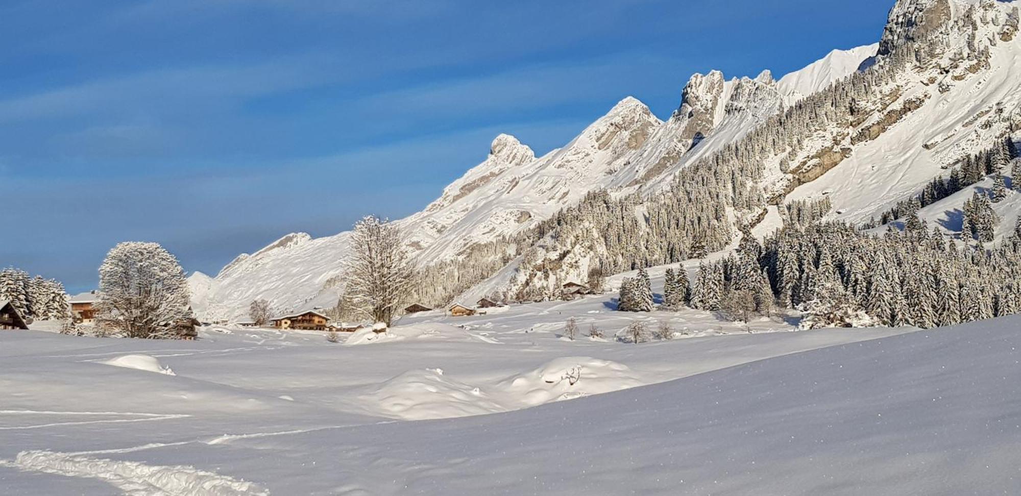 Cosy Face Aux Aravis * Le Grand-Bornand