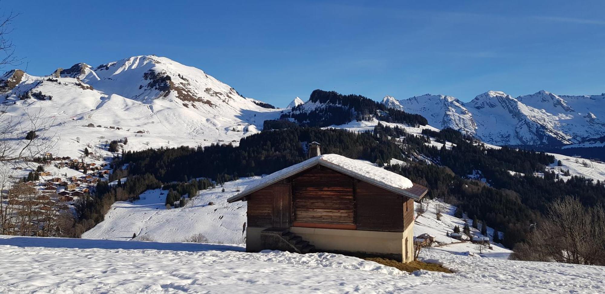 Cosy Face Aux Aravis Apartment