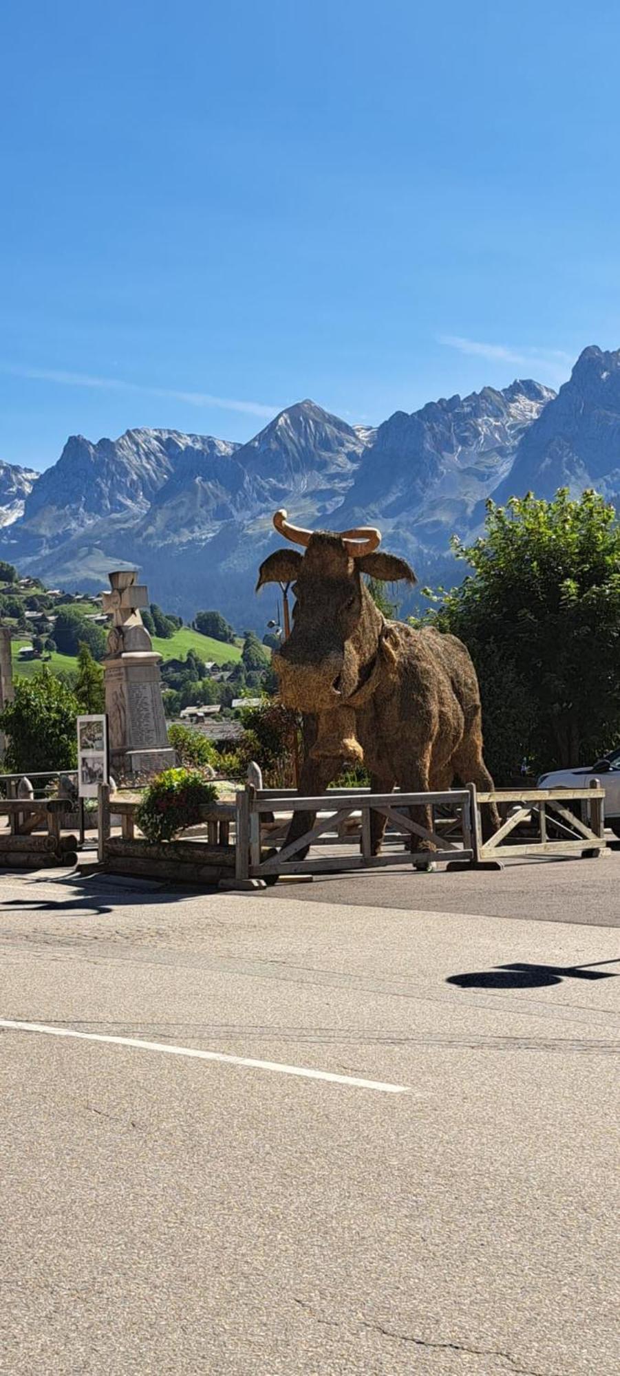 Cosy Face Aux Aravis Apartment