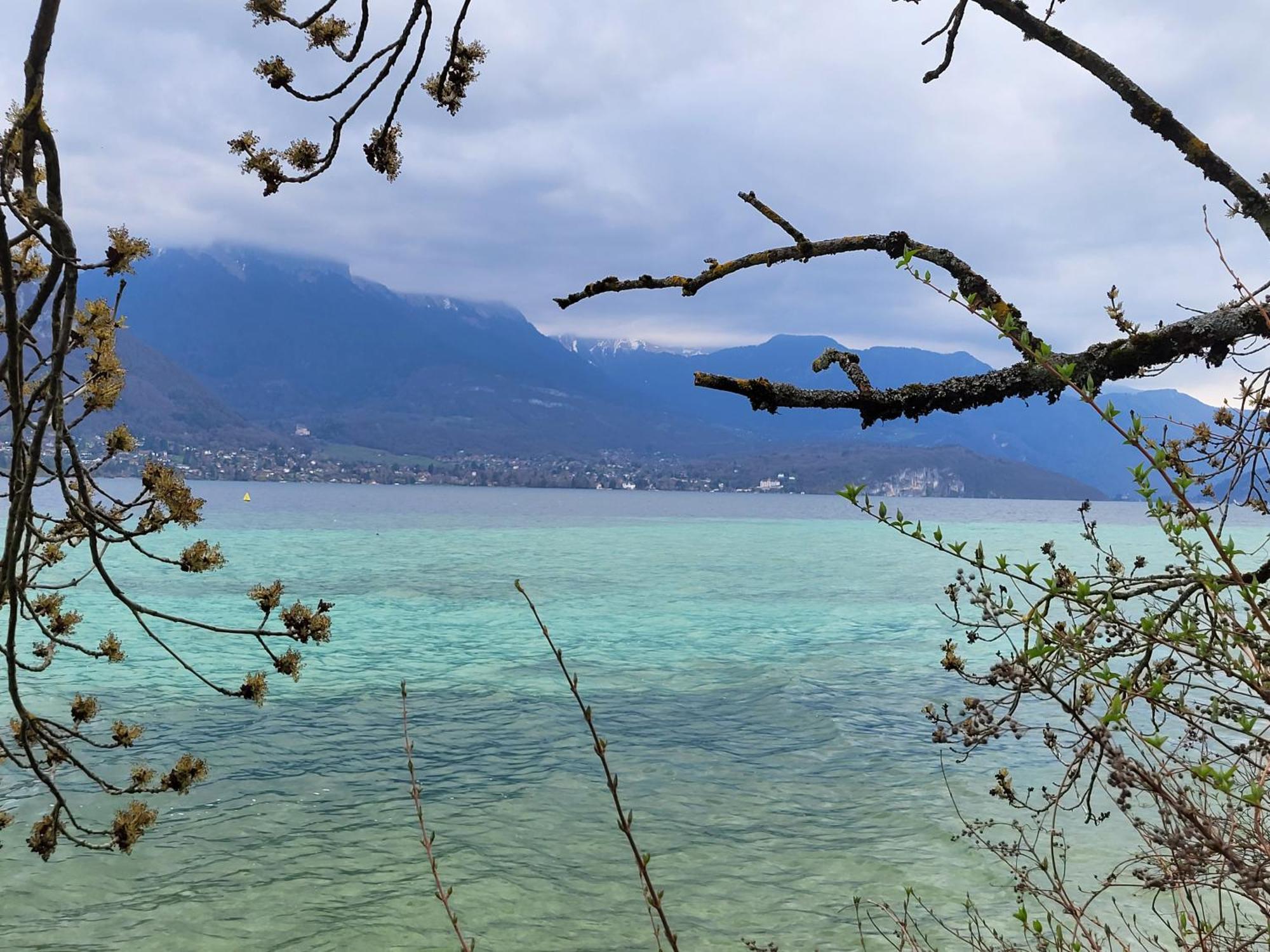 Cosy Face Aux Aravis * Le Grand-Bornand